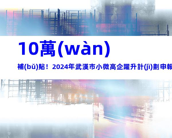 10萬(wàn)補(bǔ)貼！2024年武漢市小微高企躍升計(jì)劃申報(bào)對(duì)象、程序