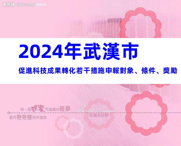 2024年武漢市促進科技成果轉化若干措施申報對象、條件、獎勵