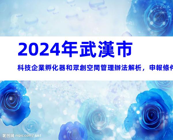 2024年武漢市科技企業孵化器和眾創空間管理辦法解析，申報條件、流程