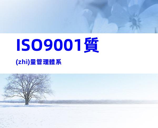 ISO9001質(zhì)量管理體系