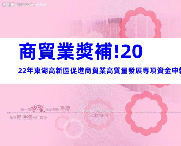 商貿業獎補!2022年東湖高新區促進商貿業高質量發展專項資金申報事項及所需材料