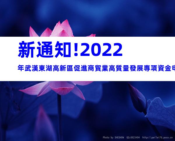 新通知!2022年武漢東湖高新區促進商貿業高質量發展專項資金申報時間、條件
