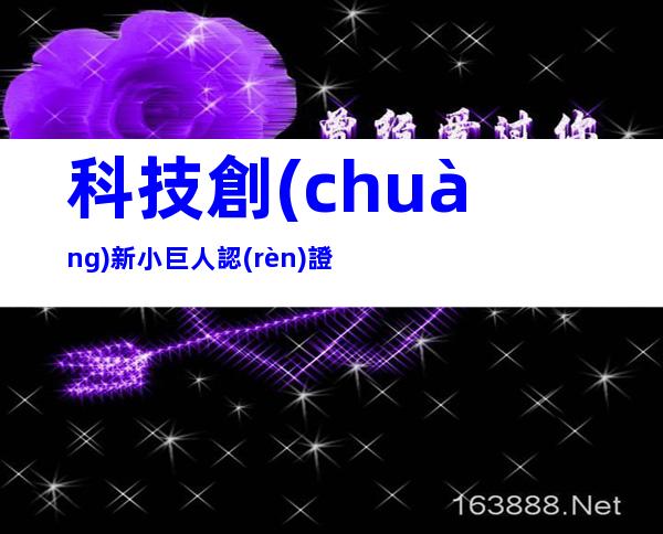 科技創(chuàng)新小巨人認(rèn)證